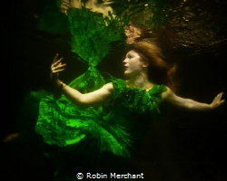 I tried using a mirror underwater to bounce extra light o... by Robin Merchant 